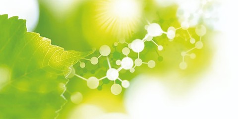 可持续发展 聚焦生物基化学成分及其可获得性方案，推动生物基材料制造革新