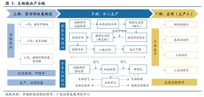 全球加码绿色能源浪潮下，生物柴油与生物基材料制造 中国企业的机遇与挑战